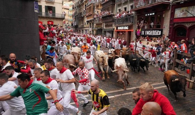 Испанский фестиваль забегов с быками Сан-Фермин снова отметился жертвами среди участников (3 фото + 3 видео)