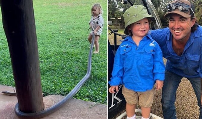 Охотник на крокодилов приучает сына к профессии (5 фото + 1 видео)