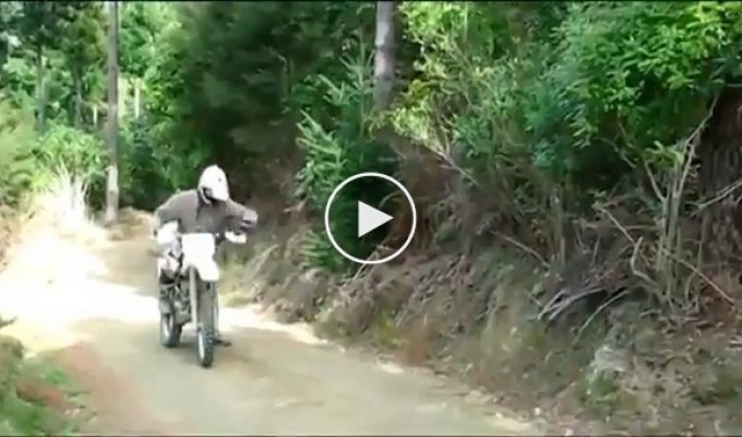 Баран нападает на мотоциклиста