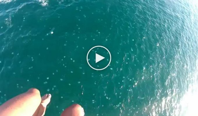 Два туриста попали в воду к медузам