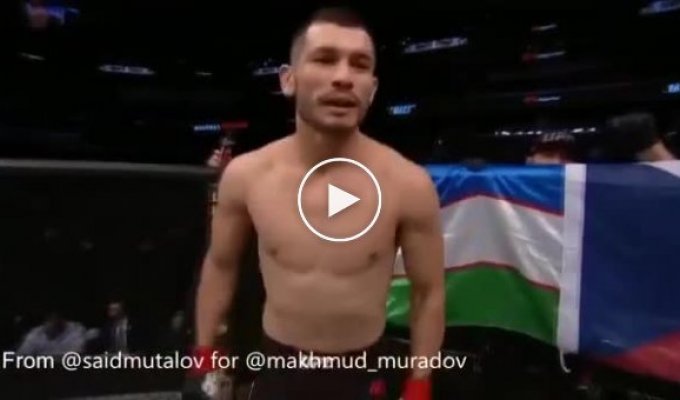 Махмуд Мурадов - первый боец из Узбекистана в UFC, отправил в глубокий нокаут Трэвора Смита