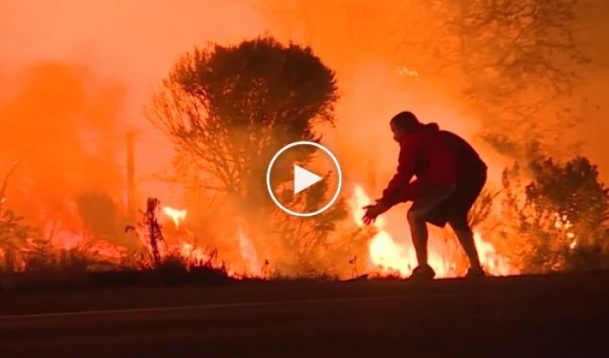 Мужчина рискнул жизнью, чтобы спасти дикого кролика во время пожара в Калифорнии