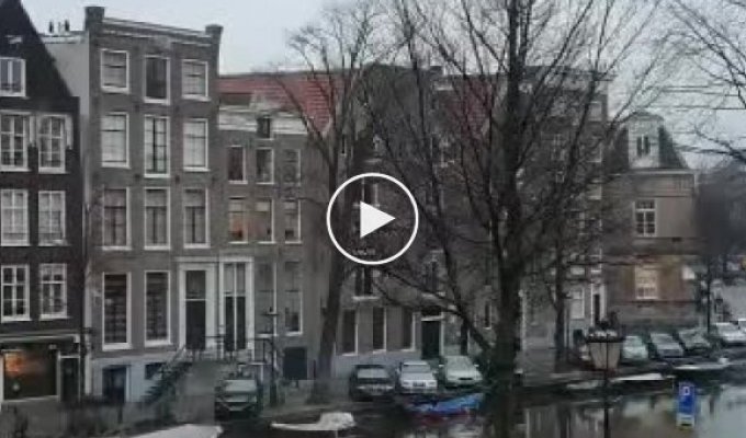 Гололед против жителей Амстердама