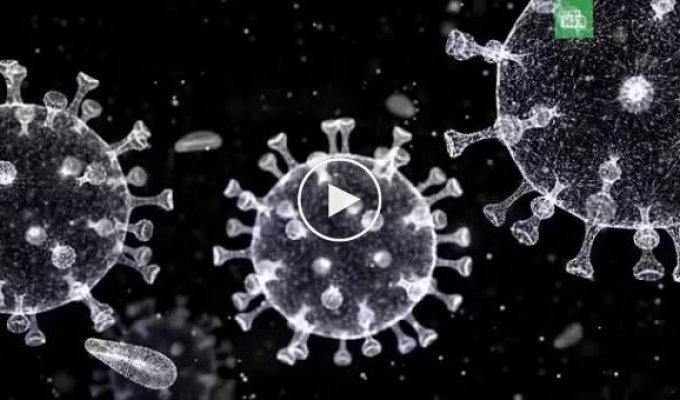 Как звучит коронавирус