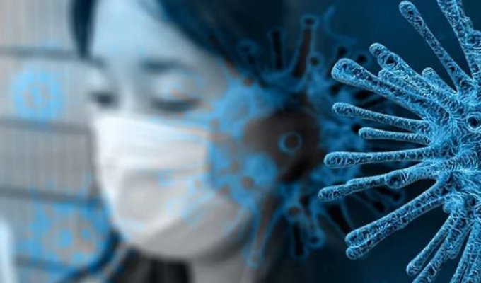 В Японии зафиксировали первую смерть от коронавируса