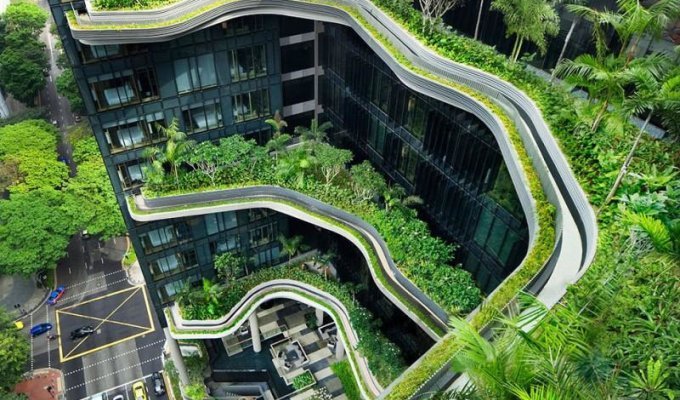 Уникальный сад на фасаде отеля в Сингапуре (27 фото)