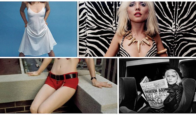 Дебби Харри - секс-символ эпохи 70-80х (25 фото)
