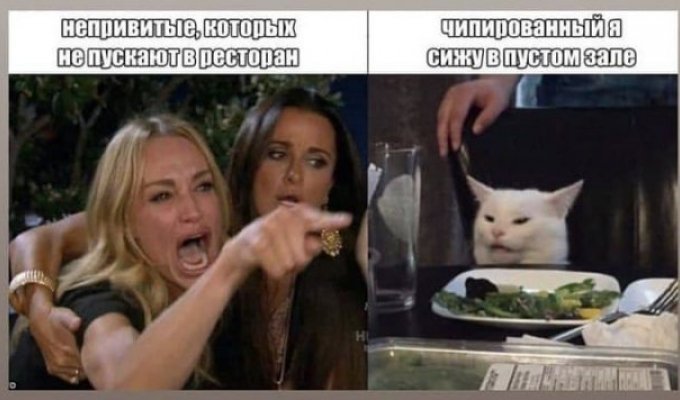 Лучшие шутки и мемы из Сети. Выпуск 258