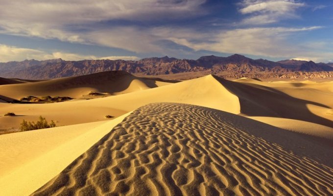 Интересные факты о пустыне (11 фото)