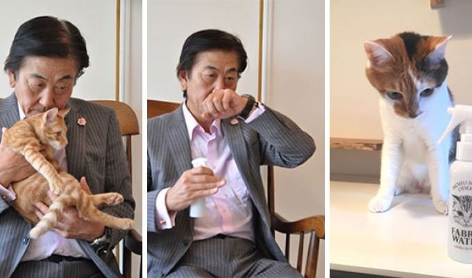 В Японии выпустили парфюм с ароматом кошачьего затылка (5 фото)