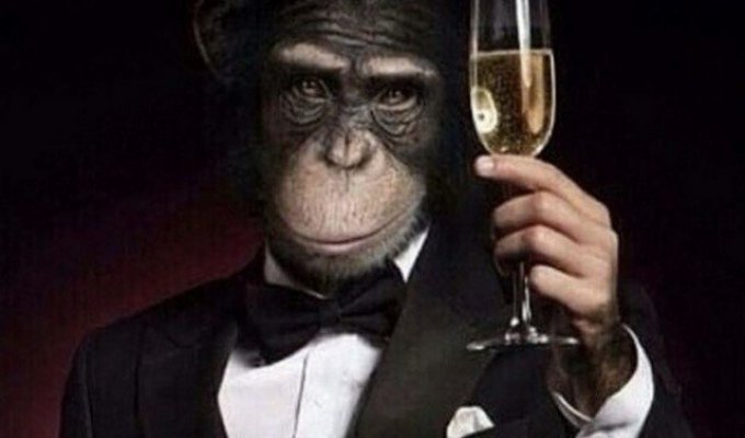Шутки и мемы про оспу обезьян (13 фото)