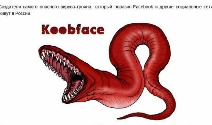 Создатели вируса Koobface живут в России (7 фото)
