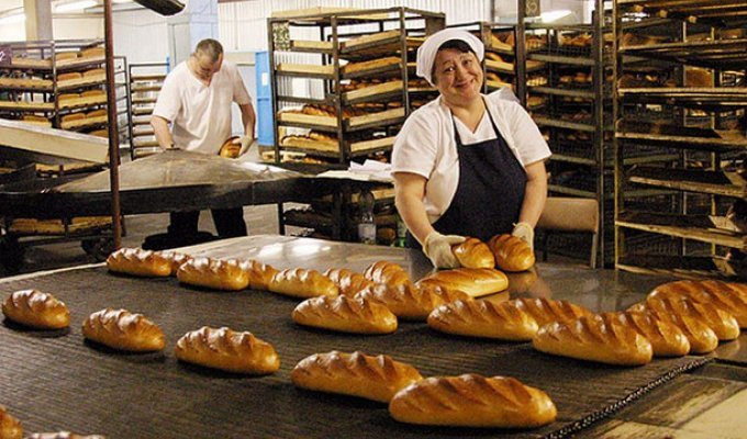Хлеб такой, каким мы его помним (14 фото)