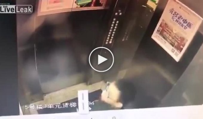 Лифт наказал китайского писающего мальчика
