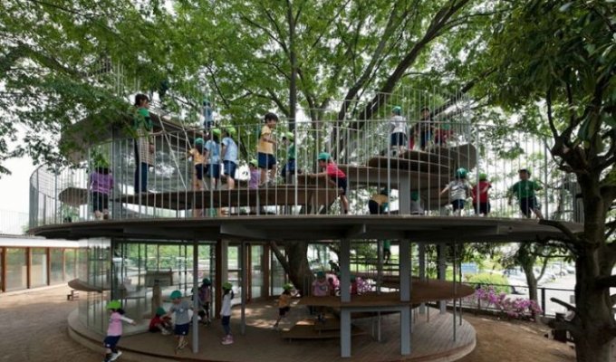 Детская игровая площадка вокруг дерева (7 фото)