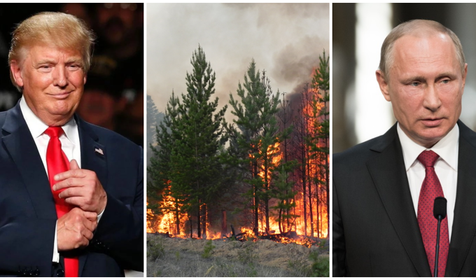 Дональд Трамп позвонил Путину и предложил помощь в тушении сибирских пожаров (1 фото)