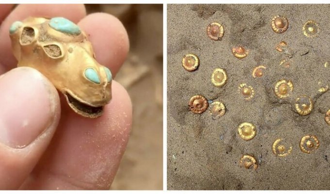 Астраханский фермер обнаружил на своем участке 2000-летнее захоронение с драгоценностями (17 фото)