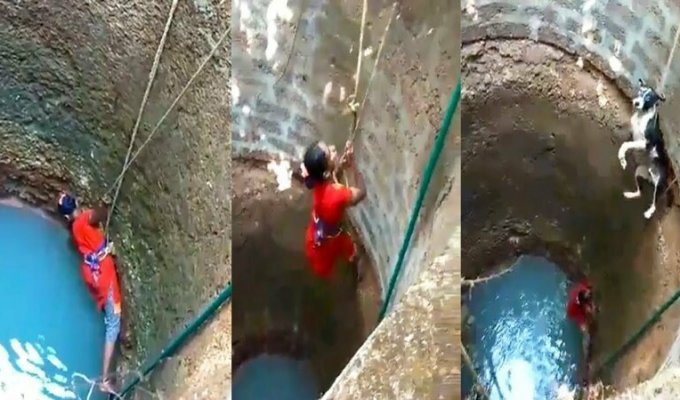 Эта храбрая женщина рисковала жизнью, чтобы спасти собаку, застрявшую в глубоком колодце (3 фото + 1 видео)