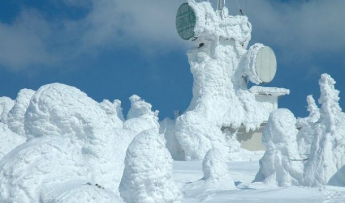 Снежные монстры. Японии (25 фото)
