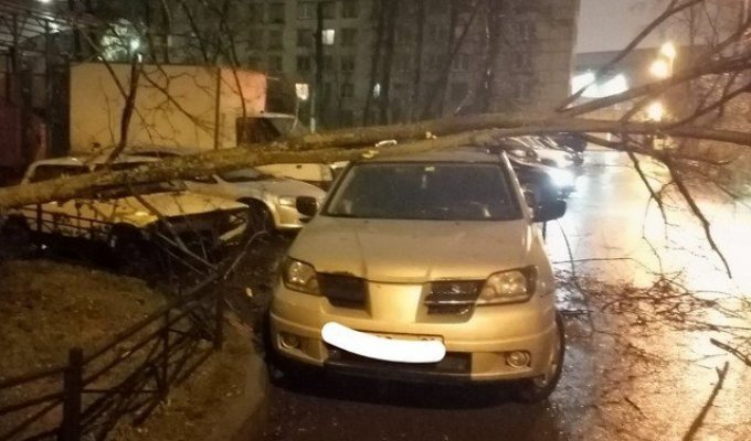 Последствия штормового ветра в Петербурге (9 фото + 2 видео)