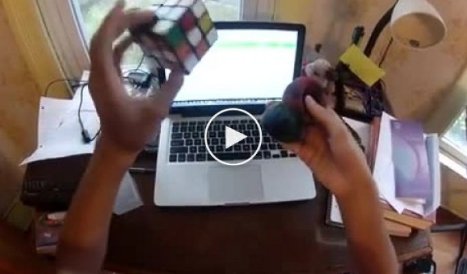 Трюки с кубиком-рубиком