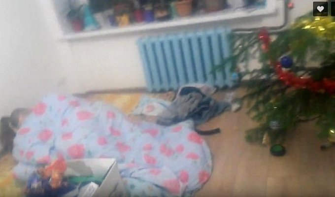 «Ирония судьбы» в реальной жизни: женщина обнаружила неизвестного парня, спящего под елкой (2 фото)