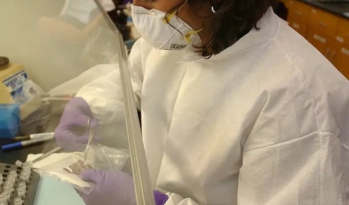 Самая знаменитая судмедэксперт США много лет подделывала ДНК-тесты и отправляла людей за решетку (7 фото)