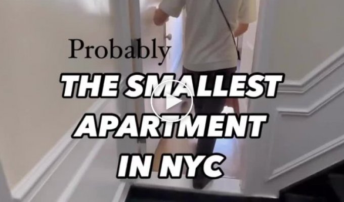 Какую квартиру можно снять в Нью-Йорке за 2300 долларов