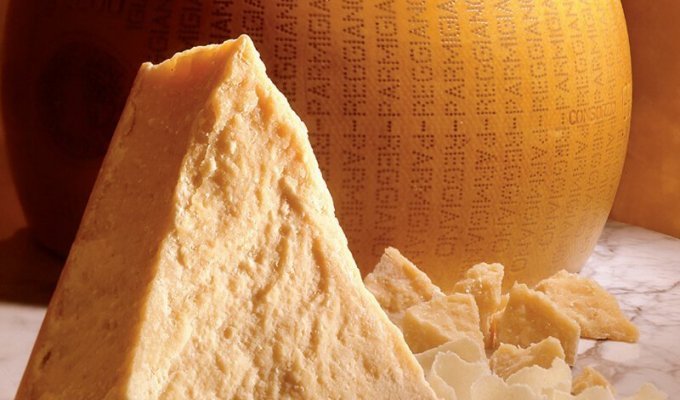 Муха возрастом 5,5 тысяч лет подарила человечеству сыр и кефир (2 фото)