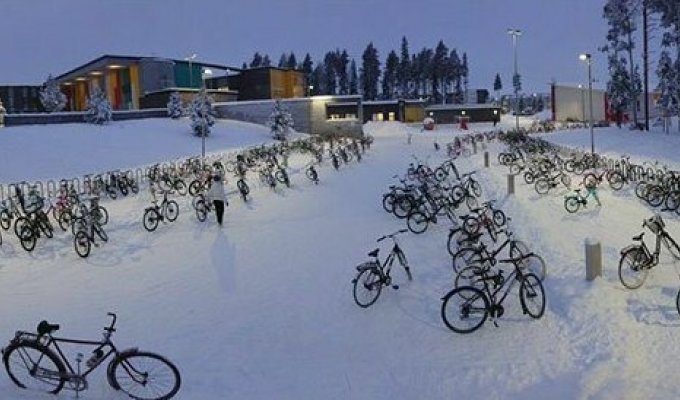 Финские школьники продолжают ездить в школу на велосипедах при температуре -17 C (6 фото)