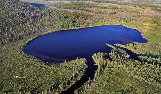 Российские ученые доказали: озеро Чеко не является кратером Тунгусского метеорита (3 фото)