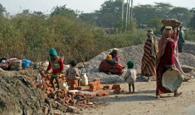  Женский труд в Индии (16 фото)