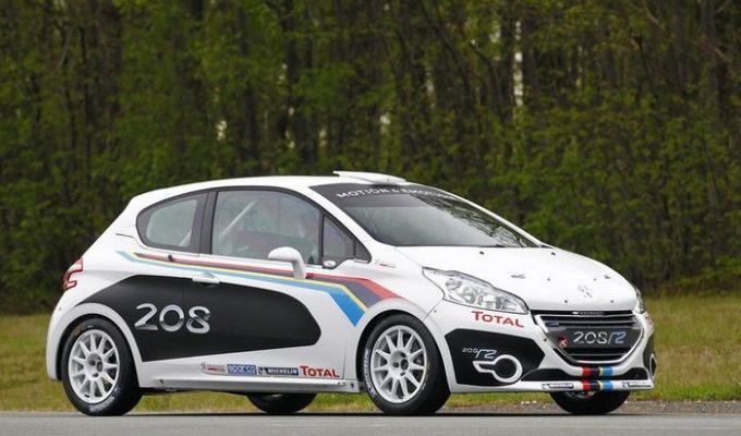 Компания Peugeot построила раллийный вариант модели 208 (25 фото)