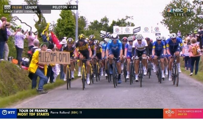 Руководство велогонки Тур де Франс подаст в суд на фанатку, вызвавшую завал пелетона (4 фото)