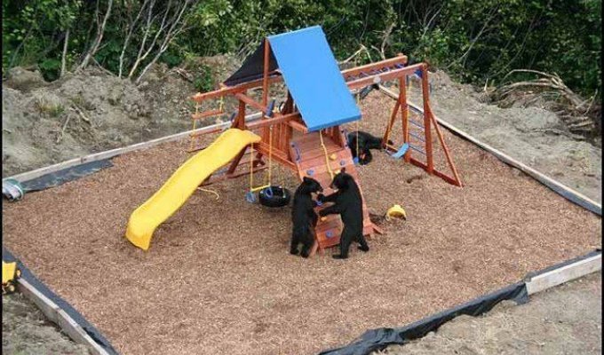 Детская площадка на Аляске (4 фото)