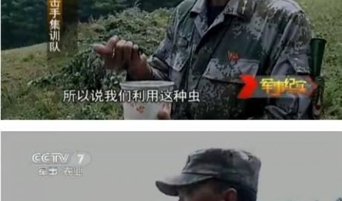 Подготовка китайских снайперов (8 фото)