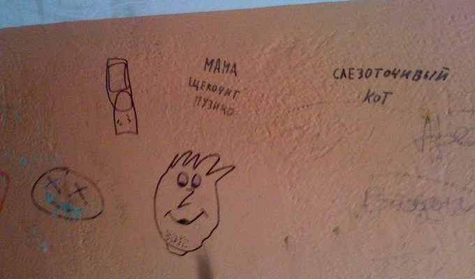 Писать на стенах туалета, глупо (5 фото)