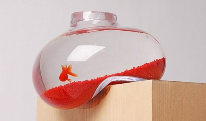 Дизайн аквариумов (35 фото)