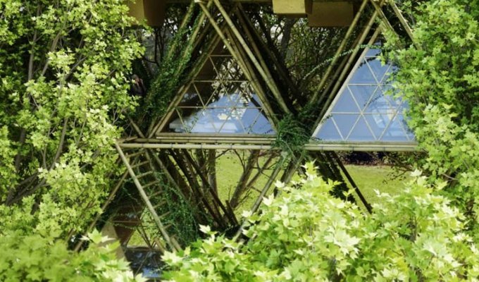 Фантастический многоэтажный «дом на дереве» из бамбука (10 фото)