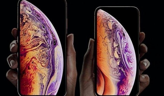 Apple представила три свежие модели iPhone? и назвала их цены (15 фото)