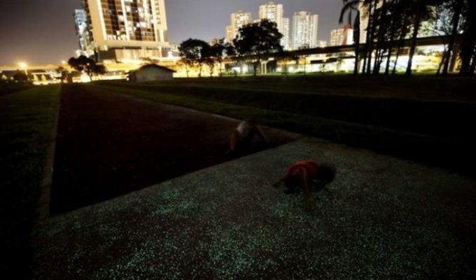 Светящийся тротуар в Сингапуре (7 фото)