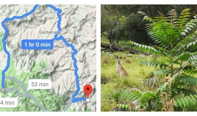 Когда даже Google карты хотят завести тебя подальше в лес (19 фото)