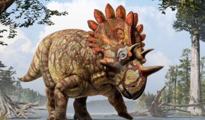 Новые любопытные факты о динозаврах (5 фото)