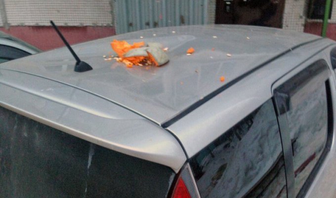 В Новосибирске на припаркованный автомобиль сбросили тыкву (3 фото)