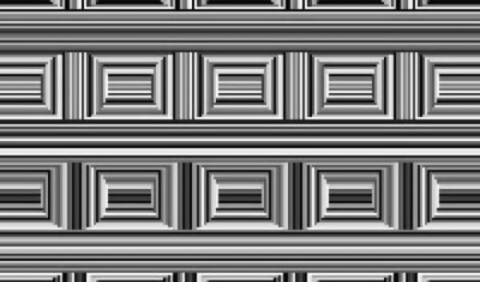 Оптическая иллюзия: сколько кругов на этой картинке?