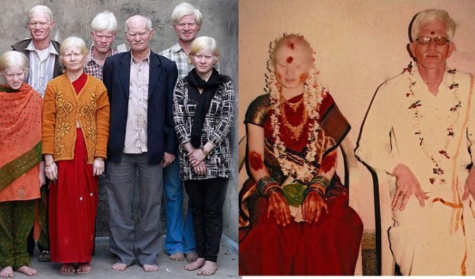 Самая большая семья альбиносов (5 фото)