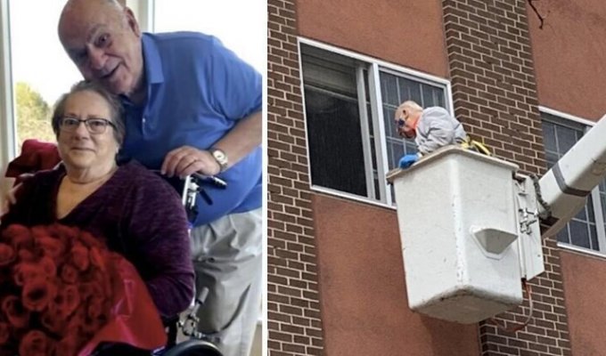 Чтобы увидеть любимую: 88-летний американец взлетел к ее окну (7 фото)