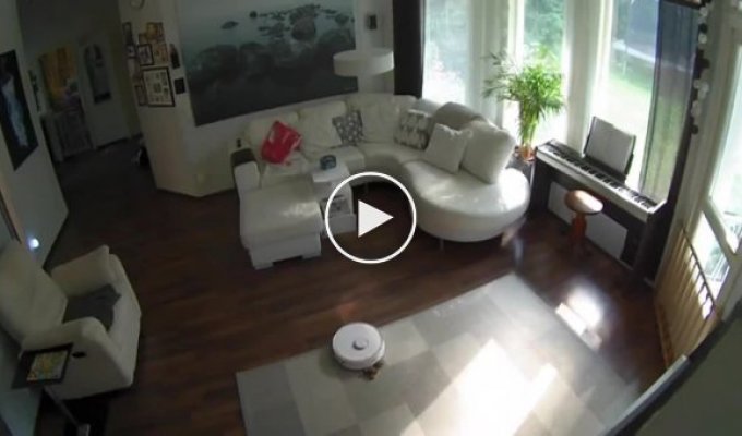 Робот-пылесос подкинул проблем хозяину дома
