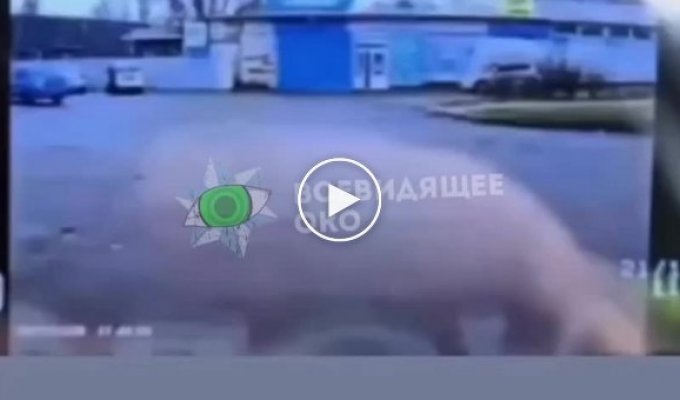 В Запорожье два шумахера — пьяный водитель и его товарищ на летней резине влетели под фуру