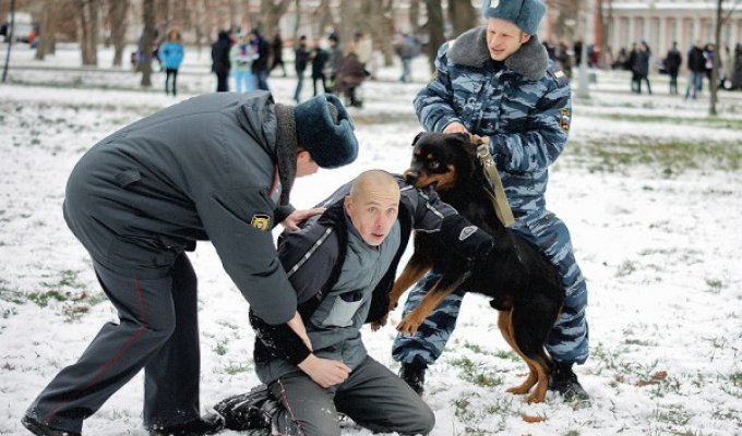 Полицейские из России раскрыли секреты профессии. 12.11.11 (33 фото)
